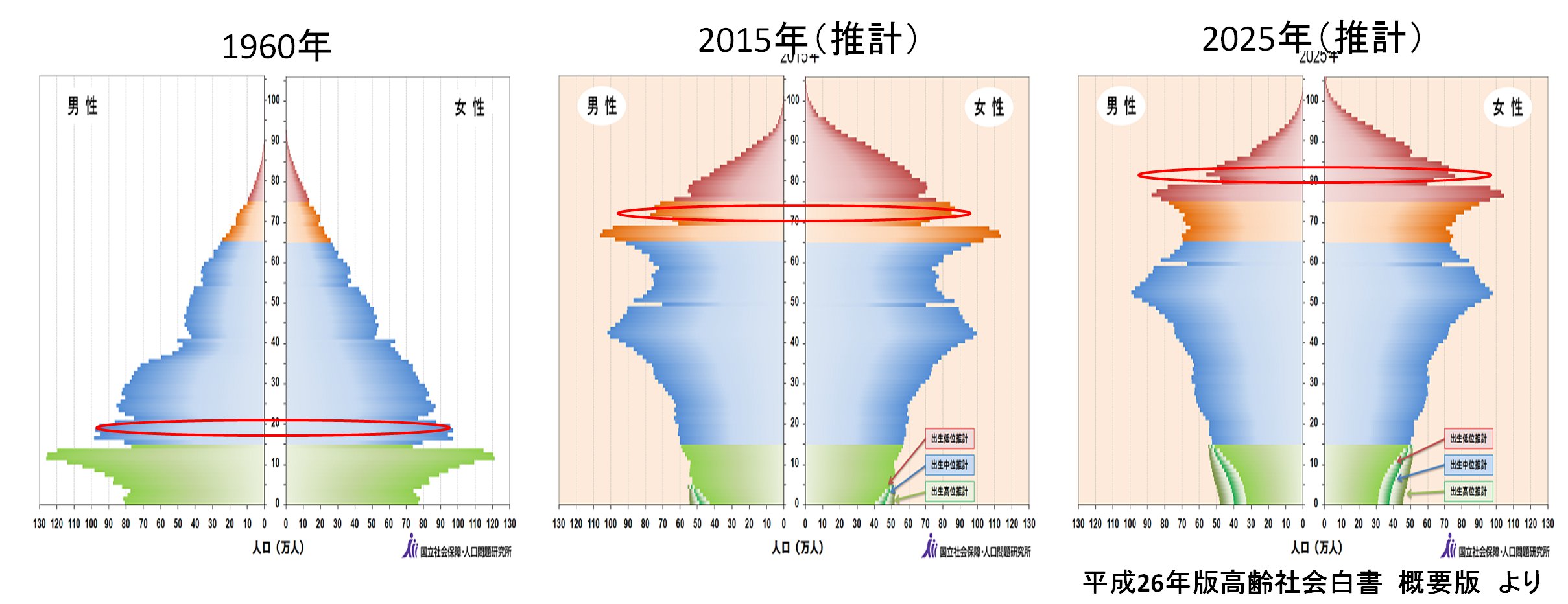 図2　人口構成