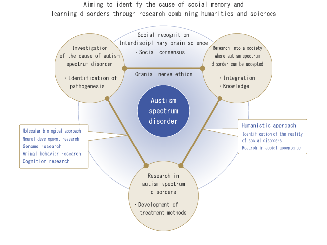 Aiming to identify the cause of social memory and learning disorders through research combining humanities and sciences