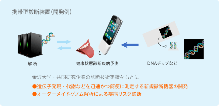 携帯型診断装置（開発例）