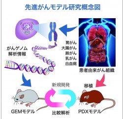 chozen_Oshima