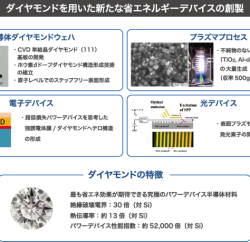 f2tokuda_ol copy