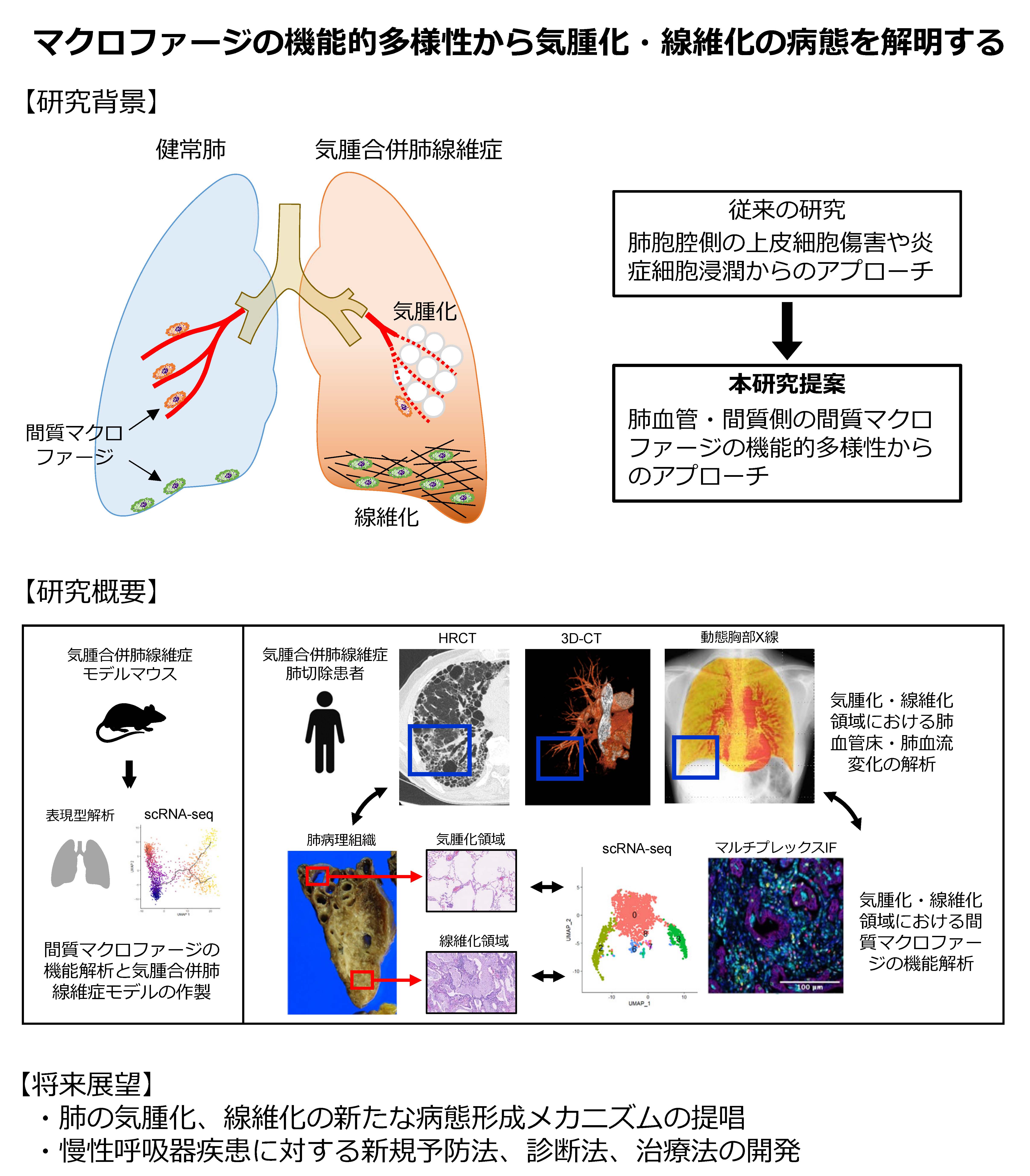 image-jkc2023-02_2